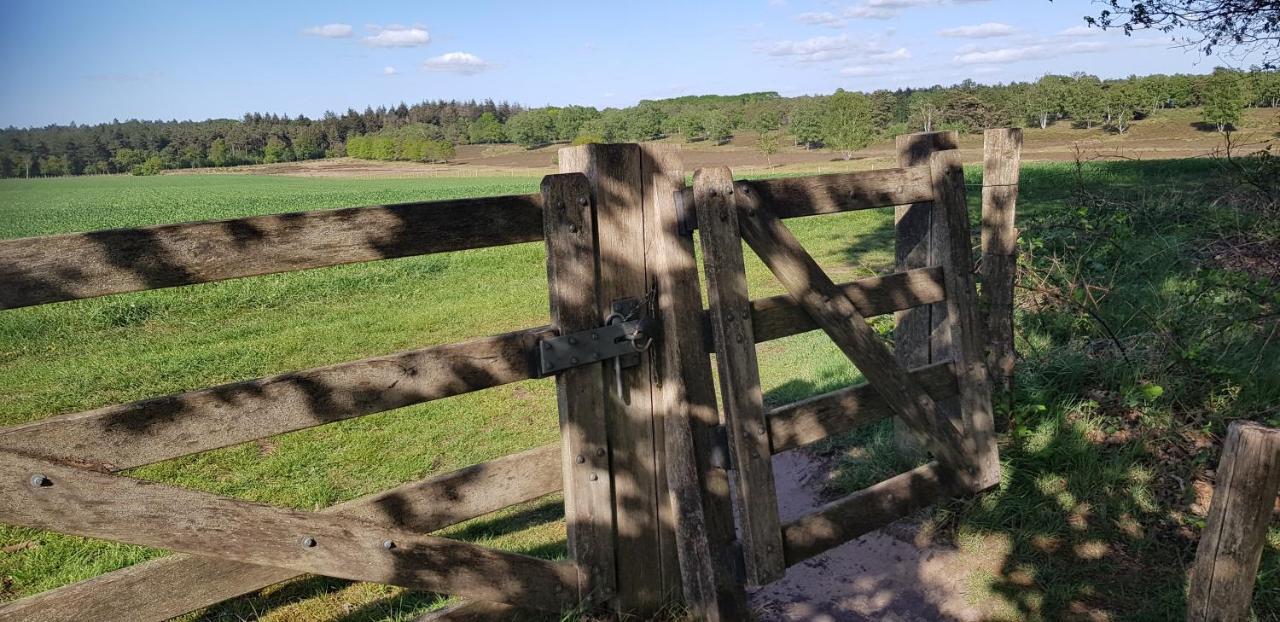vakantiehuis op de veluwe Wolfheze Buitenkant foto