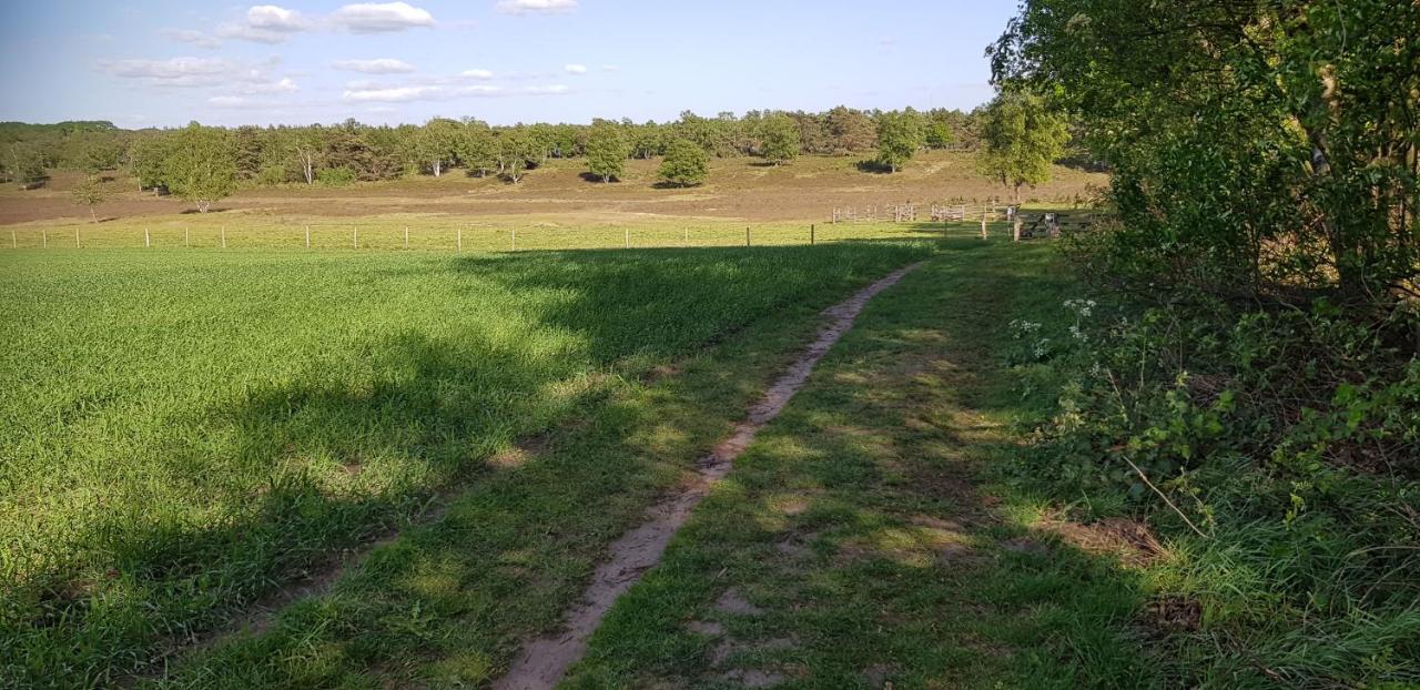 vakantiehuis op de veluwe Wolfheze Buitenkant foto