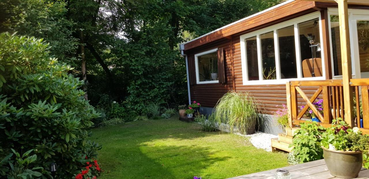 vakantiehuis op de veluwe Wolfheze Buitenkant foto
